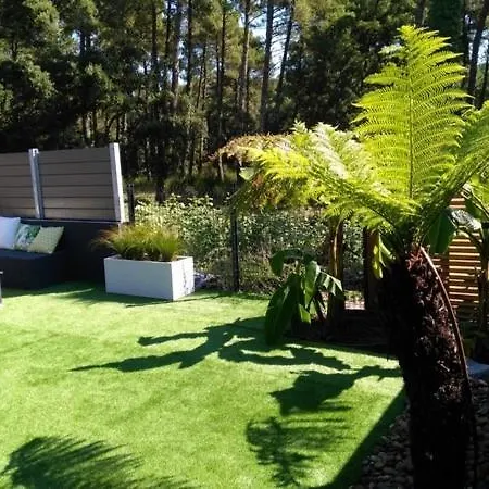 Patio Terrasse Privative Ocean 10 Min A Pied Seignosse