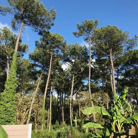 Patio Terrasse Privative Ocean 10 Min A Pied