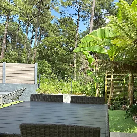 Patio Terrasse Privative Ocean 10 Min A Pied *
